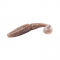 Виброхвост Sawamura One'Up Shad 2" (10шт.) 12