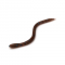 Приманка Bait Breath U30 Vein 3,8" (10шт.) 003