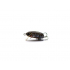 Воблер Hunter Insect MR F (26mm 1,0g) A