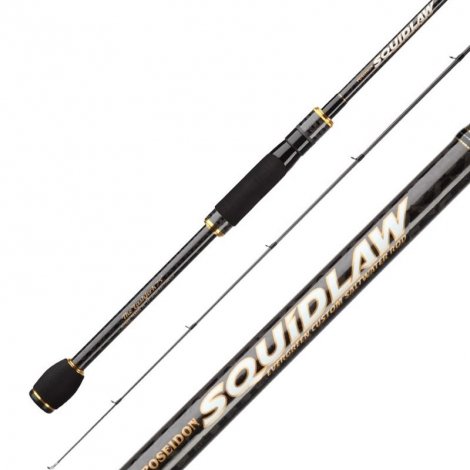 Спінінг Ever Green Poseidon Squidlaw Imperial NIMS-82L