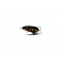 Воблер Hunter Insect SR F (26mm 1,0g) B
