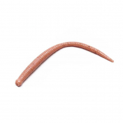 Приманка Bait Breath Needle RealFry 2,5" Trout (12шт.) 204