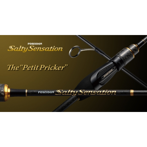 Спінінг Ever Green Salty Sensation PSSS-53S