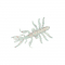 Приманка Bait Breath Skeleton Shrimp SSP (8шт.) #159 Ebimiso Red