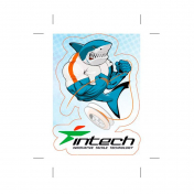 Наліпка 15x7 см Intech