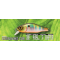 Воблер Kosadaka MIRAGE XS 70, Floating, 70mm, 9,0g 12-PNT