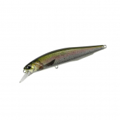 Воблер DUO Realis Jerkbait 100SP Pike Limited (100mm, 14.5g) CCC3836
