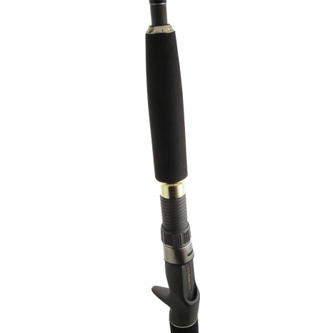 Спінінг Favorite Prodigy Jerk PRJC 591MH