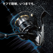 Котушка Shimano 17 Sustain 3000XG