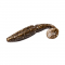 Віброхвіст Sawamura One'Up Shad  5" (6 шт.) 12