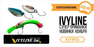 За форелью с Ivyline