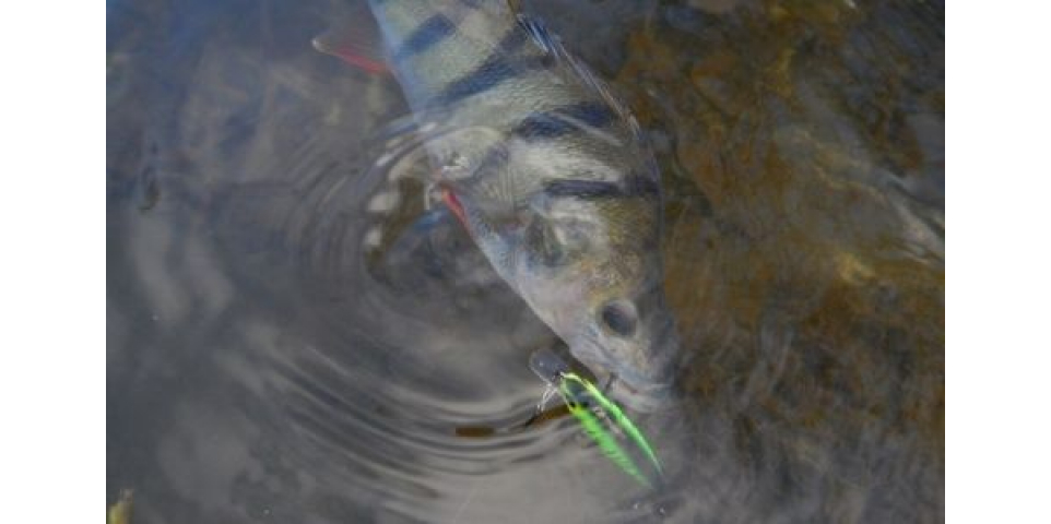 Виконано бездоганно (тест-драйв Tsuribito Minnow 80SP) у блозі Олега Сізона