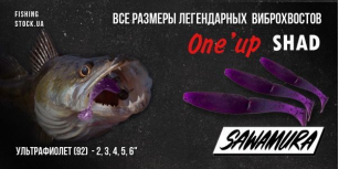 Большое поступление японской «съедобки» Sawamura!