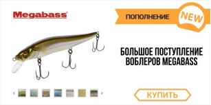 Спешите заказать Megabass!