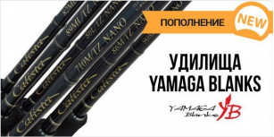 Yamaga наступает!