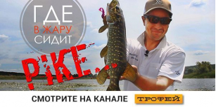 Смотрите на телеканале Трофей!