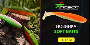 Новинка сезона! Силиконовые приманки Intech