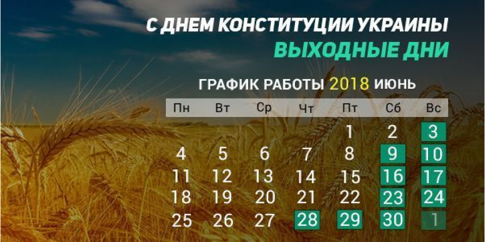 С Днём Конституции!