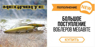 Megabite: Новые модели!