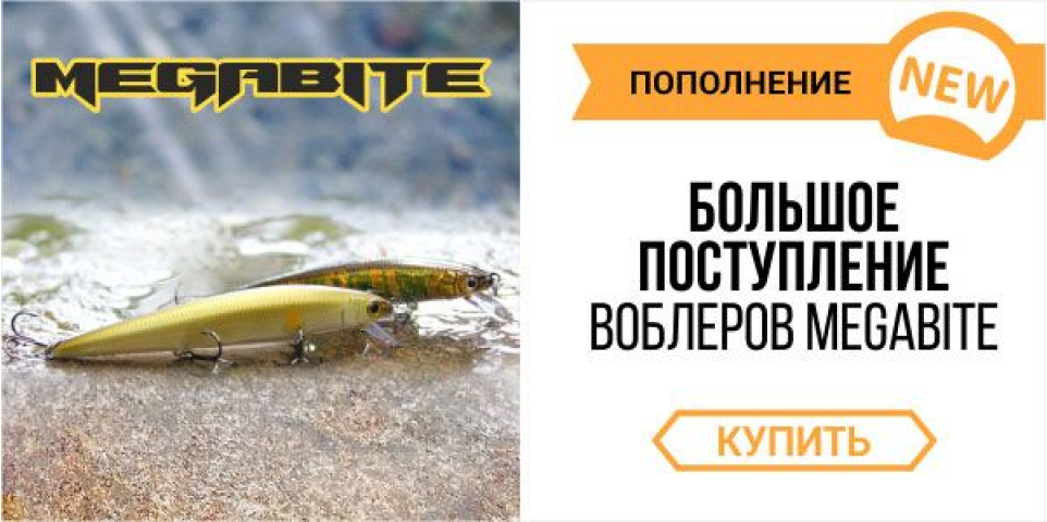 Megabite: Новые модели!