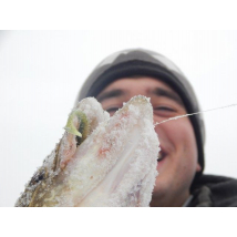 FishingStock на Северском Денке