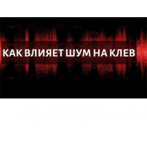 Чи впливає шум шнура на кількість клювань?