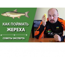 (Видео) Как поймать жереха?