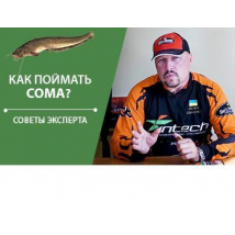 (Видео) Ловля сома на спиннинговые приманки | Советы эксперта