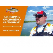 (Видео) Как поймать краснопёрку на спиннинг? Часть 2 Практика