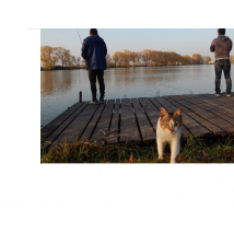 Половили щуку