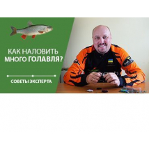 (Видео) Как наловить много голавля? | Советы эксперта