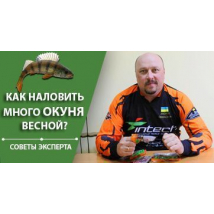 (видео) Как наловить много окуня весной? | Советы эксперта
