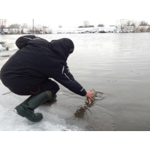За щукой в январе