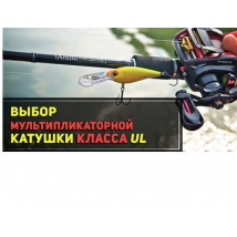 Daiwa. Вибір мультиплікаторної котушки для ультралайтового та лайтового лову. Частина 1