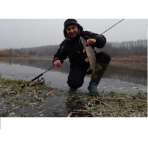 Клево на Донце