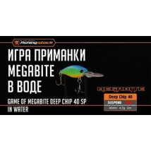 Игра в воде воблера Megabite Deep Chip 40 SP | Game of Megabite Deep Chip 40 SP in water