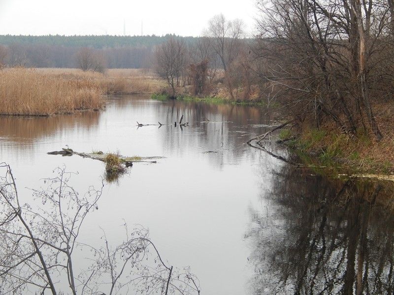 У листопаді на малій глибині