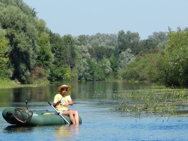 Мінноу, попери, глісери, щука та трав'янисте мілководдя