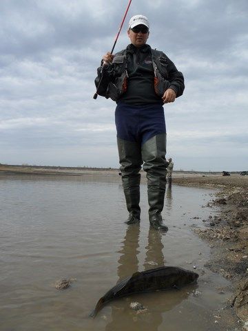 О весенней судаковой рыбалке.