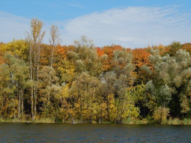 Подолати лінь