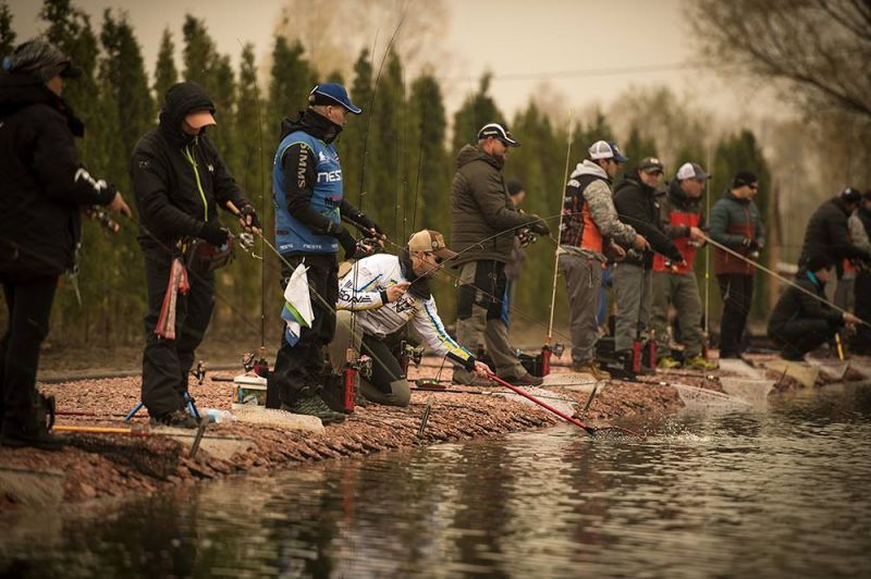 Trout Cup.