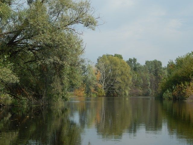 Нетипова рибалка