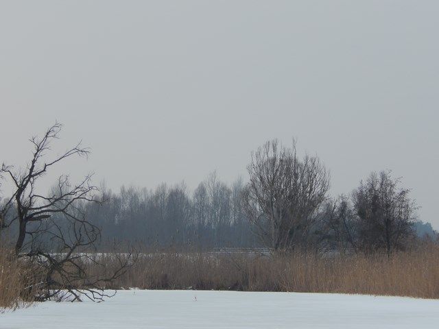 С жерлицами на Псли и Грунь-Ташане