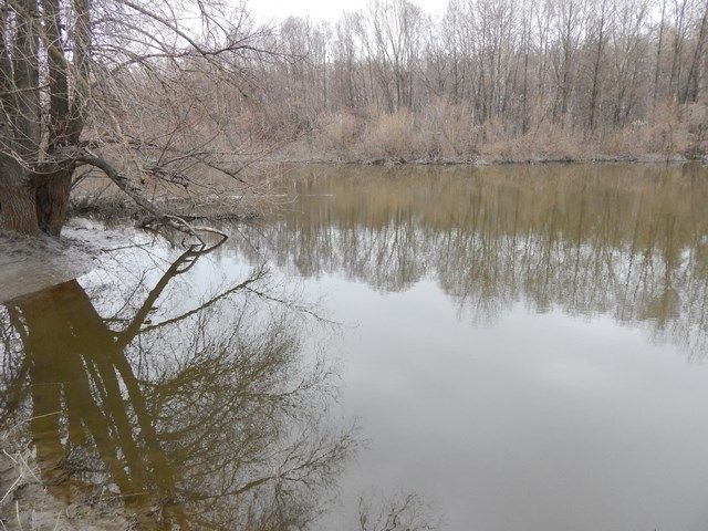 На Пслі