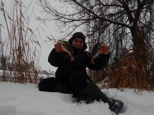 І щуку, і окуня