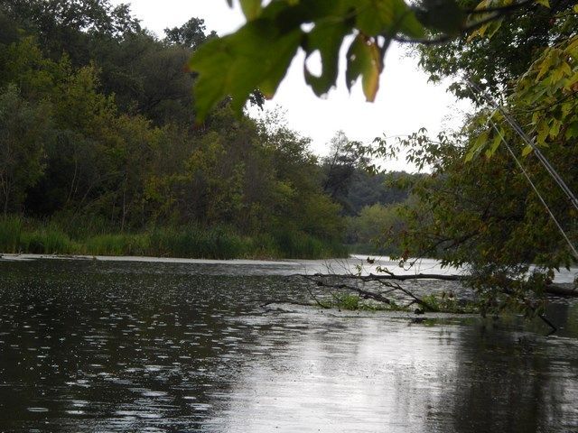 Щука, річка та глибока вода. Твістери та злаки