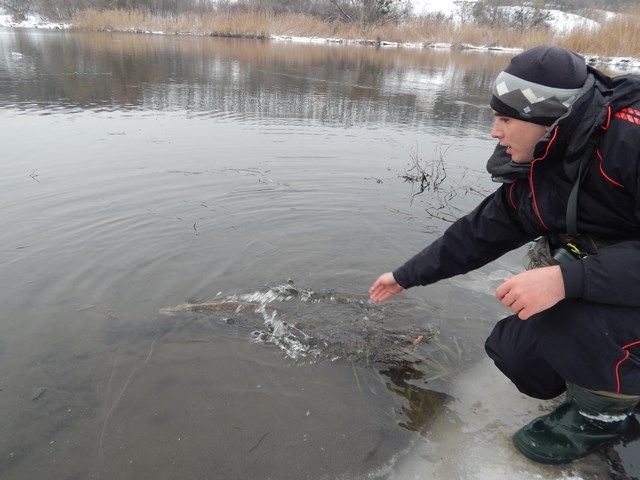 FishingStock на Сіверському Дінці