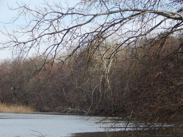 Фігурування. Ностальгія та оптимізм