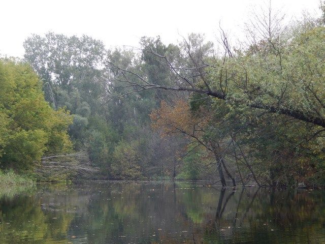 Об осенней речной щуке