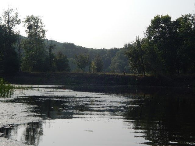 У берега в траве